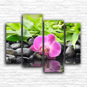 Orhideja i kamenčići