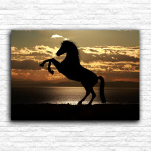 Silueta konja