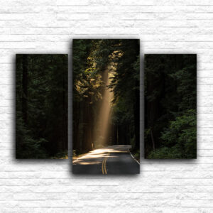 Put i sunčevi zraci